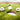 Golf Balls | 3CT